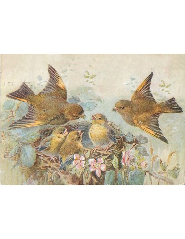 Set de table vintage, nids d'oiseaux au printemps