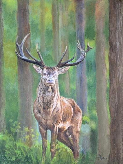 peinture animalière d'un cervidé, ici un cerf dans les bois