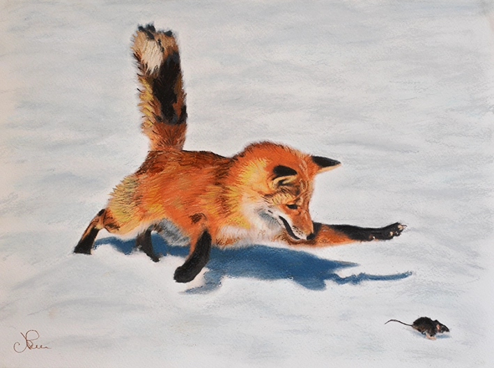 Dessin d'un renard roux dans la neige, qui chasse une souris