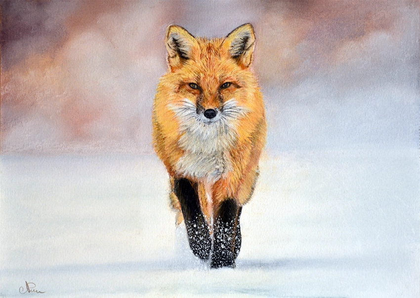 Renard roux dans la neige, œuvre d'un peintre animalier